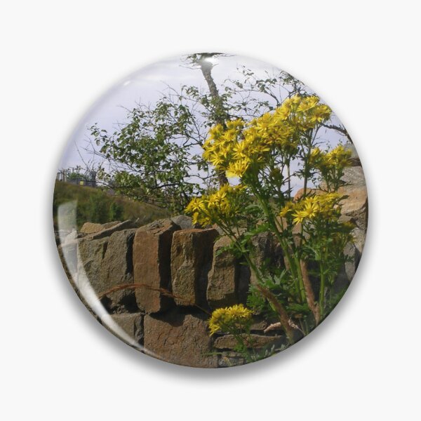Item preview, Ragwort And Stone Wall - Nr. Stornoway, Isle of Lewis designed and sold by lezvee.