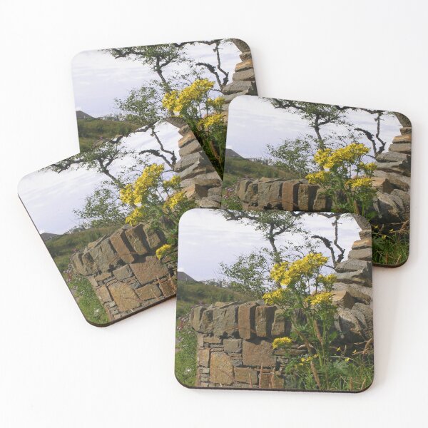 Item preview, Ragwort And Stone Wall - Nr. Stornoway, Isle of Lewis designed and sold by lezvee.