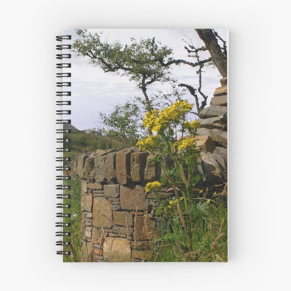 Item preview, Ragwort And Stone Wall - Nr. Stornoway, Isle of Lewis designed and sold by lezvee.