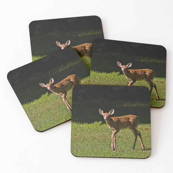 Item preview, White-tailed Fawn designed and sold by Brad Chambers.