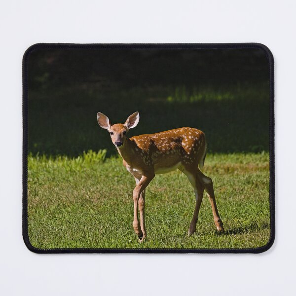 Item preview, White-tailed Fawn designed and sold by Brad Chambers.