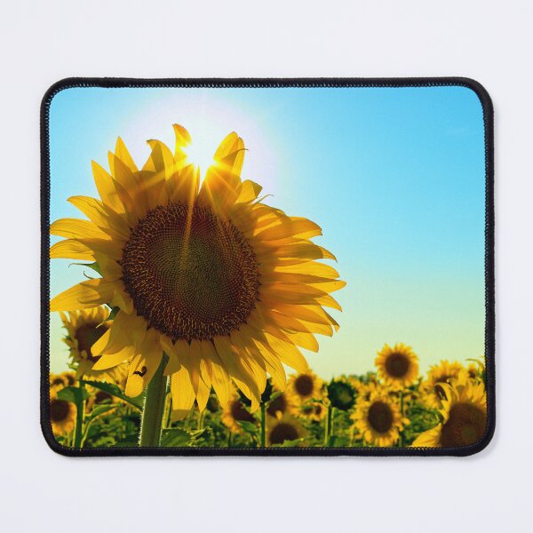 Item preview, Sunflower Sunstar designed and sold by Brad Chambers.