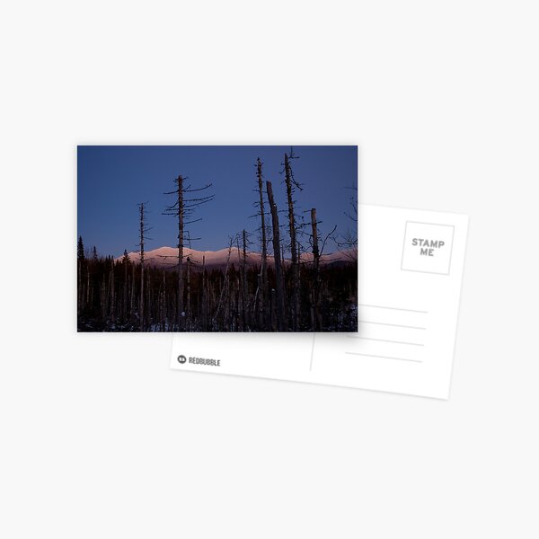 The Last Light Postcard