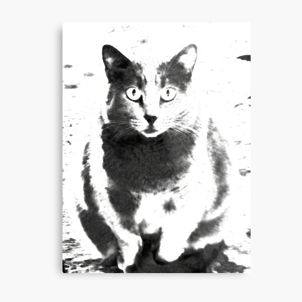 Item preview, the cat stare designed and sold by balsano.