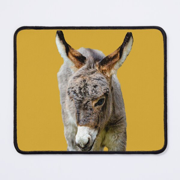 Item preview, Miniature Donkey Foal designed and sold by Dalyndigital Photography.