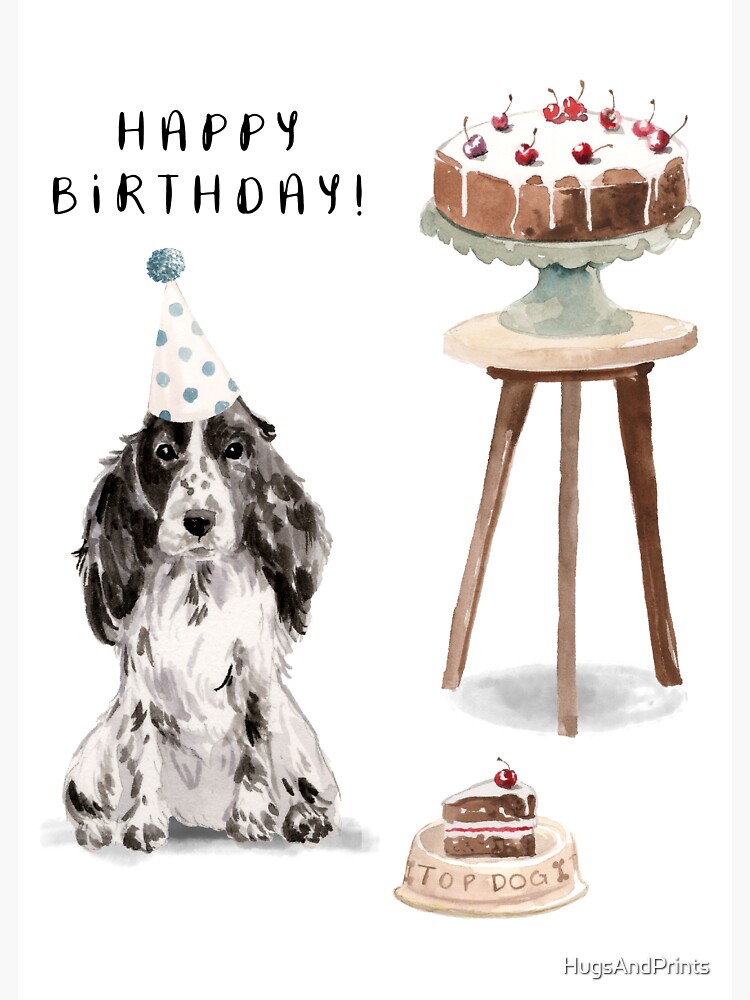 Cocker spaniel hotsell birthday cake