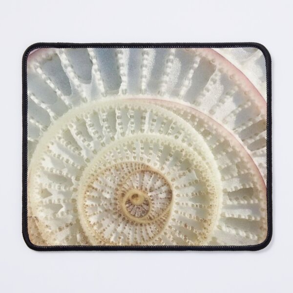 Item preview, Cross section of a banana leaf plant stem designed and sold by ritusdesigns.
