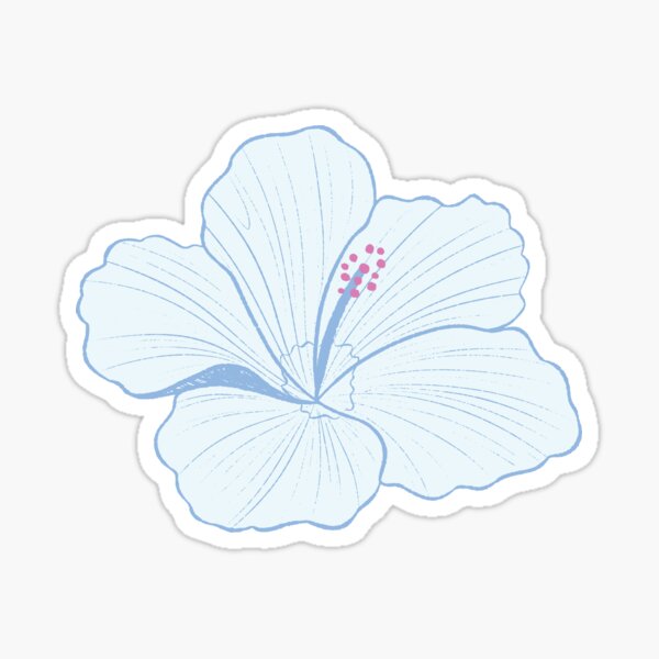Hibiscus Flowers in Hawaii in Blue Sticker
