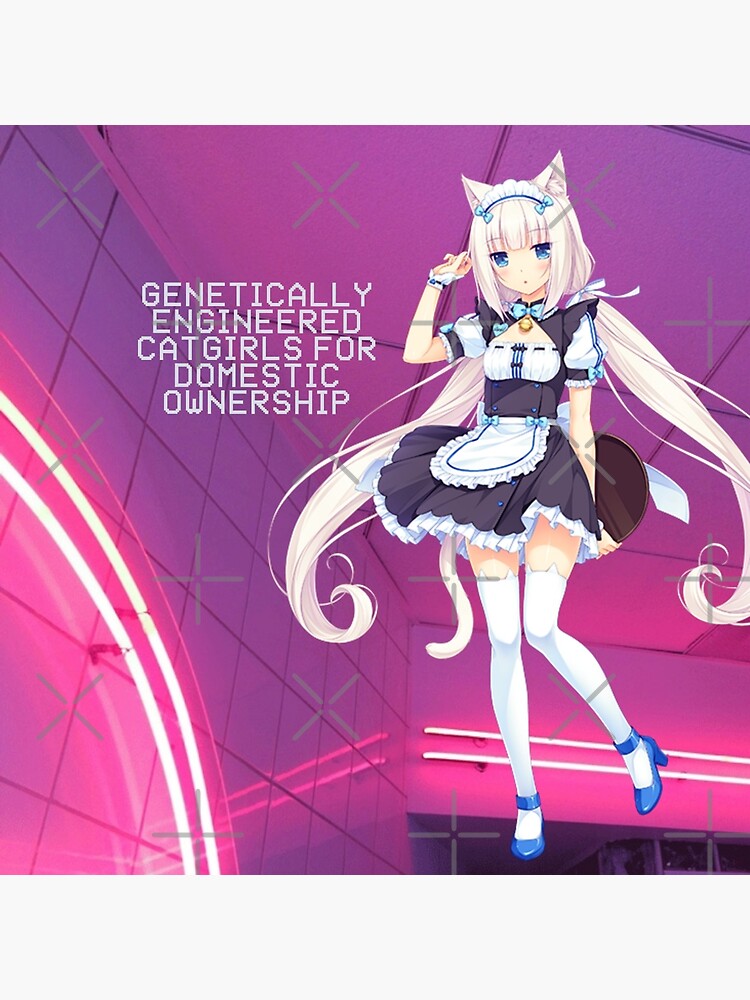 Genetically engineered catgirls : r/memes