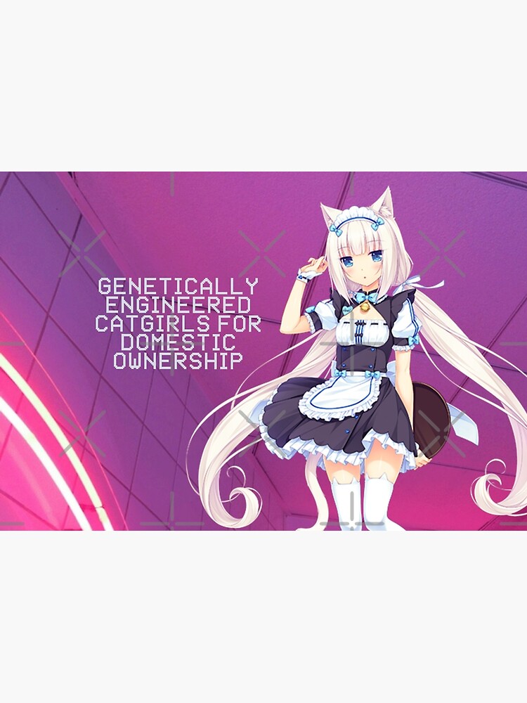 Steam Curator: Genetically Engineered Cat-Girls for Domestic Ownership