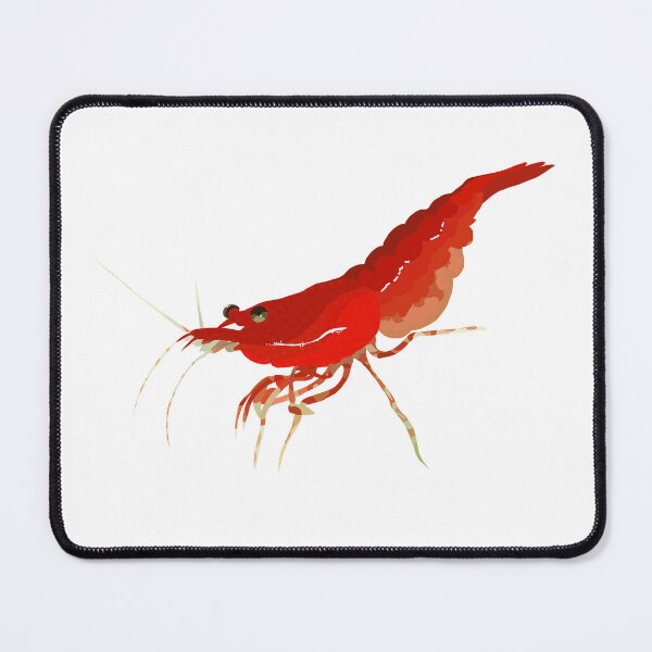 Item preview, Cherry Shrimp Illustration designed and sold by Furkid Studio.