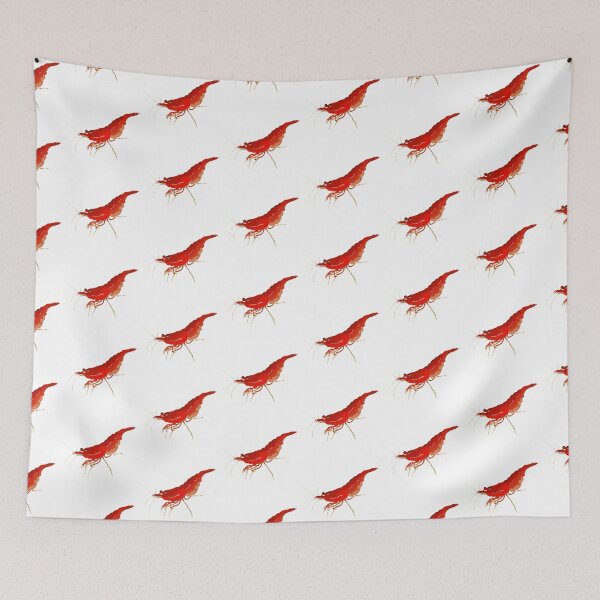 Item preview, Cherry Shrimp Illustration designed and sold by Furkid Studio.