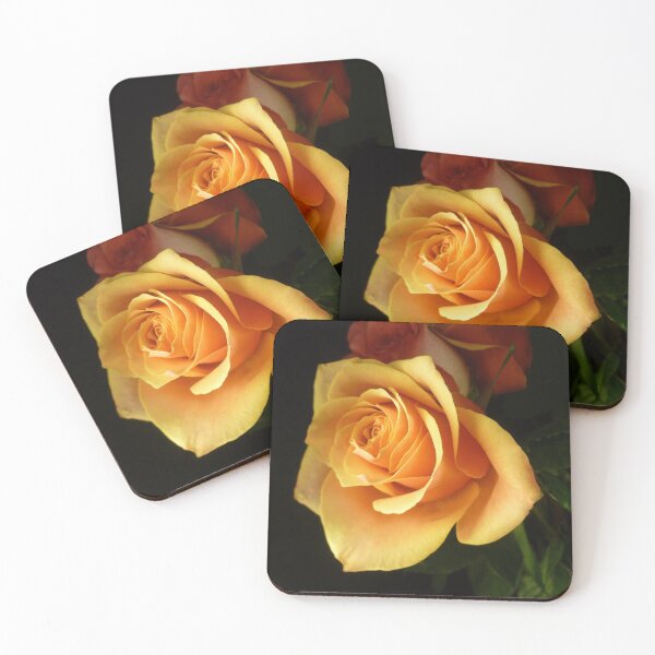 Item preview, GOLDEN SUN GLOW ~ ROSE designed and sold by Elaine Bawden.