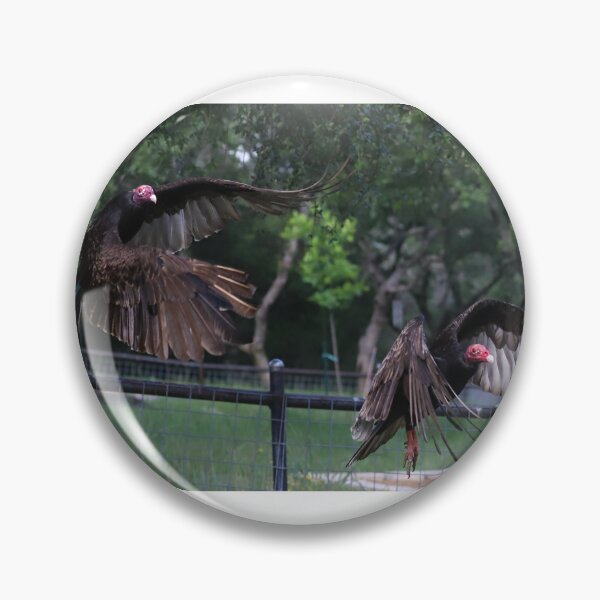Item preview, Turkey Vultures to Flight designed and sold by FeathersFossils.