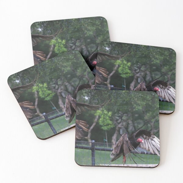 Item preview, Turkey Vultures to Flight designed and sold by FeathersFossils.
