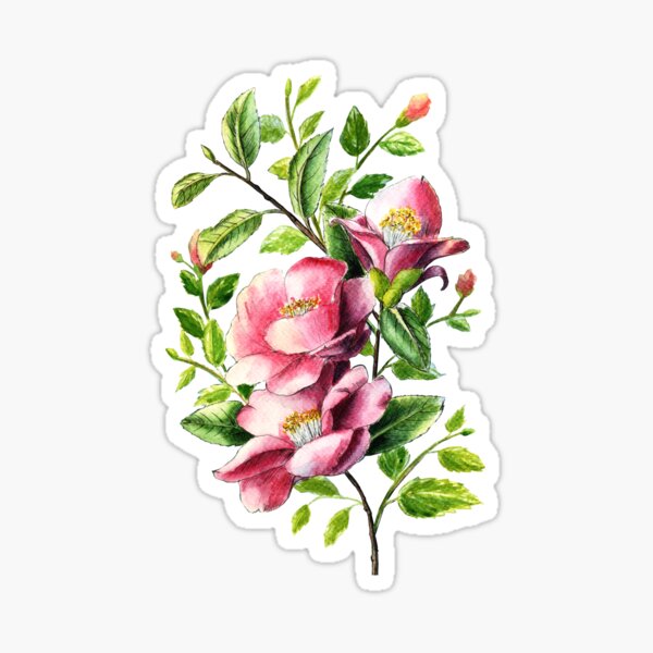 Camellia Flower Sticker – CJ's Sticker Shop