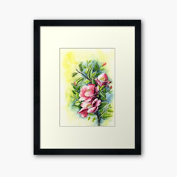 Pink Camellia Flowers Watercolor Painting Framed Art Print