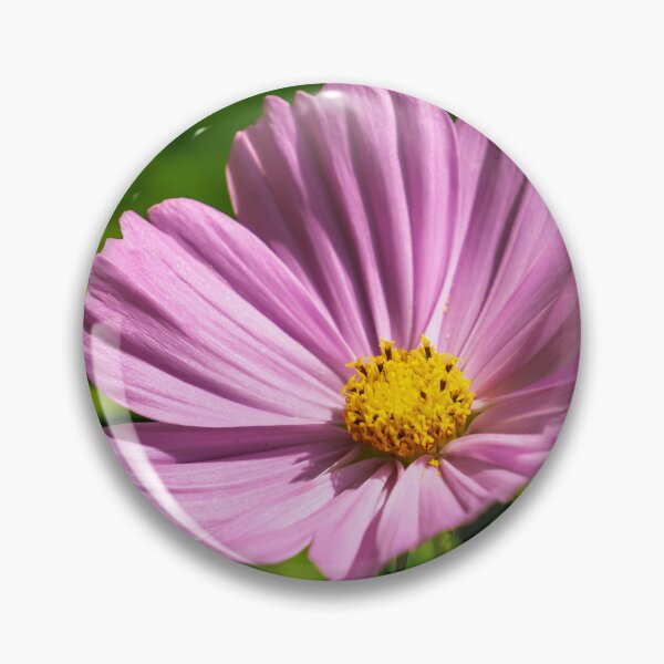 Item preview, Cosmos Flower designed and sold by TinyDinoDesigns.