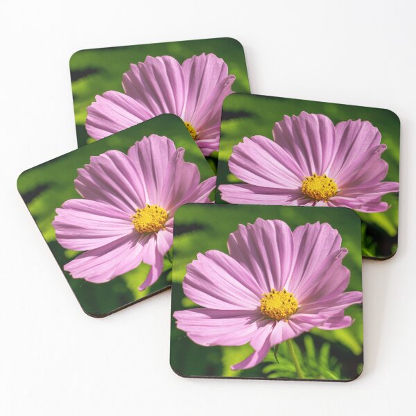 Item preview, Cosmos Flower designed and sold by TinyDinoDesigns.