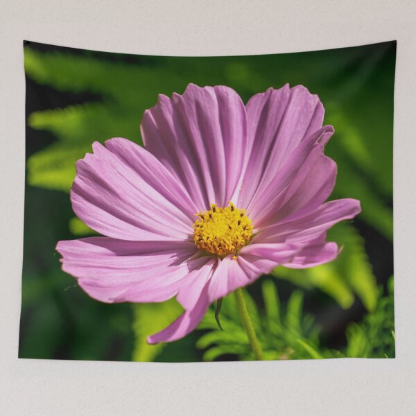 Item preview, Cosmos Flower designed and sold by TinyDinoDesigns.