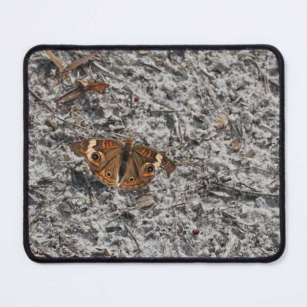 Item preview, Buckeye Butterfly designed and sold by TinyDinoDesigns.