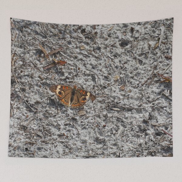 Item preview, Buckeye Butterfly designed and sold by TinyDinoDesigns.