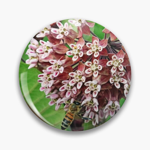 Item preview, The Bee And Milkweed designed and sold by Deb Oppermann.