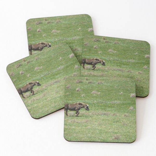Item preview, Wooly Pony Strolling on a Green Hillside designed and sold by Vivar Photo.