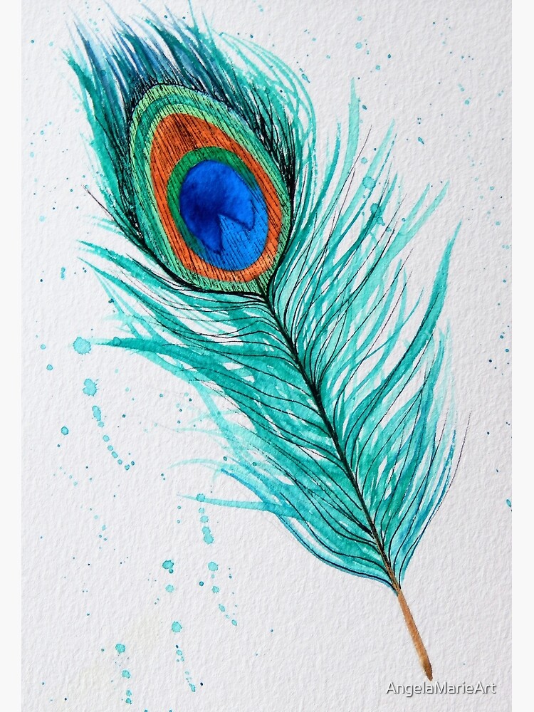 Peacock Feather  Peacock feather art, Feather art, Peacock feathers