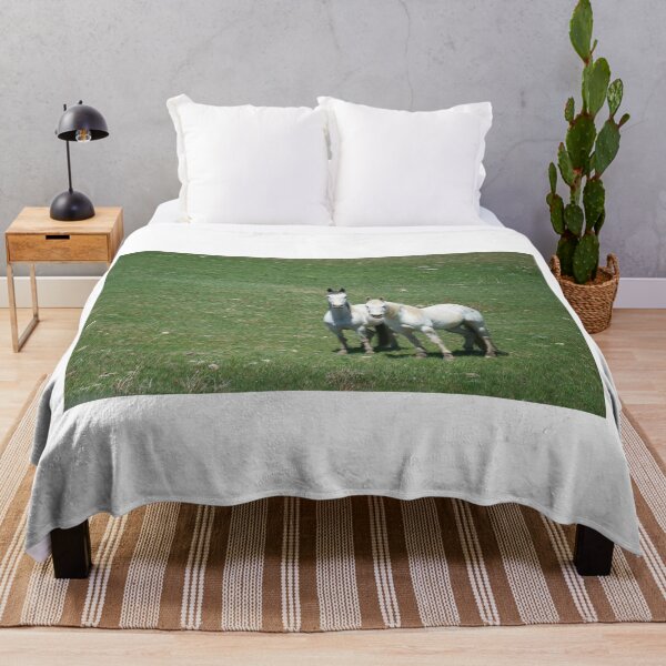 Item preview, White Appaloosa and Friend designed and sold by Vivar Photo.