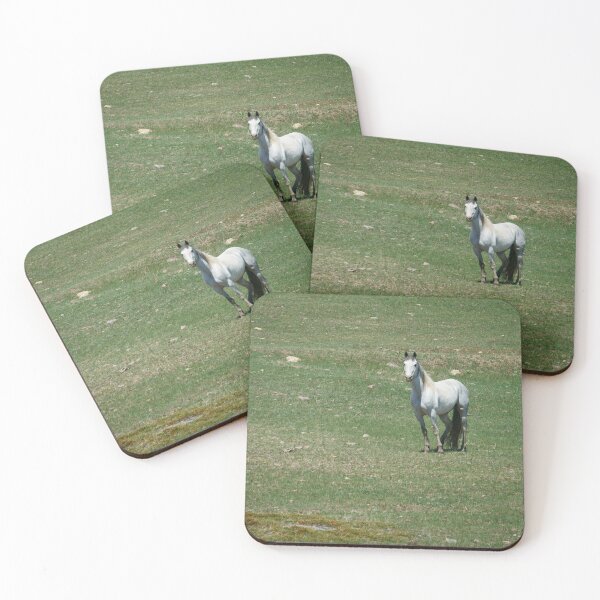 Item preview, White Horse Standing in a Rocky Pasture designed and sold by Vivar Photo.