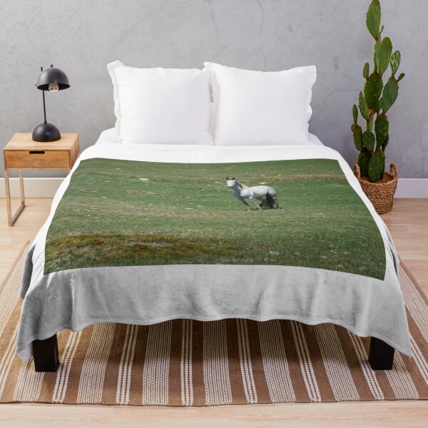 Item preview, White Horse Standing in a Rocky Pasture designed and sold by Vivar Photo.