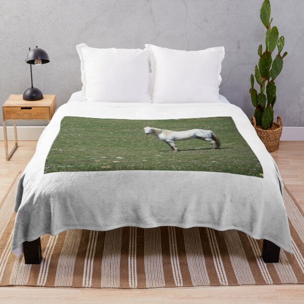 Item preview, White Appaloosa Posing designed and sold by Vivar Photo.