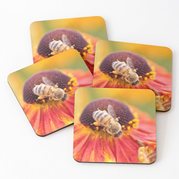 Item preview, Bee Pollinating a Helenium Moerheim Beauty - Sneezeweed Flower - Kew Gardens - English Gardens designed and sold by LucaRocchini.