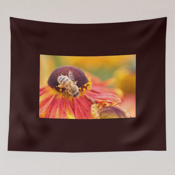 Item preview, Bee Pollinating a Helenium Moerheim Beauty - Sneezeweed Flower - Kew Gardens - English Gardens designed and sold by LucaRocchini.