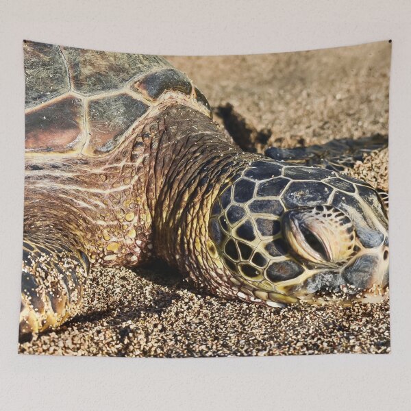 Item preview, Green Sea Turtle Photograph Closeup Beach Sand Hawaii designed and sold by Avila Loomis.