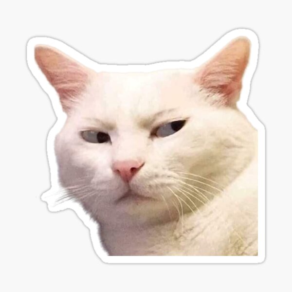 Chaveiro de memes de Gato - meme pizza grumpy cat gatos engraçados pop cat,  Smudge The Cat, gato da salada