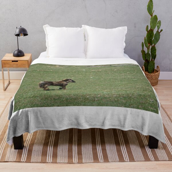 Item preview, Mocha Pony on a Rocky Hillside designed and sold by Vivar Photo.