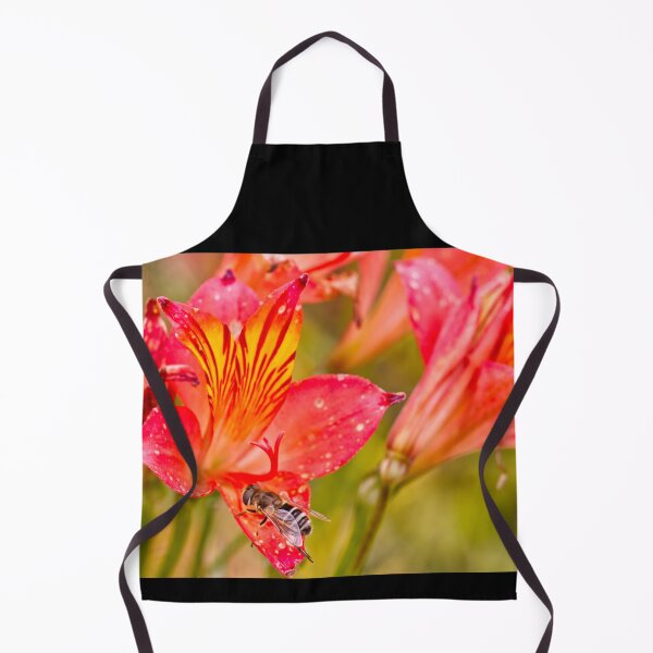 Item preview, Bee Pollinating a Alstroemeria Ligtu Flower - Kew Gardens - English Gardens designed and sold by LucaRocchini.