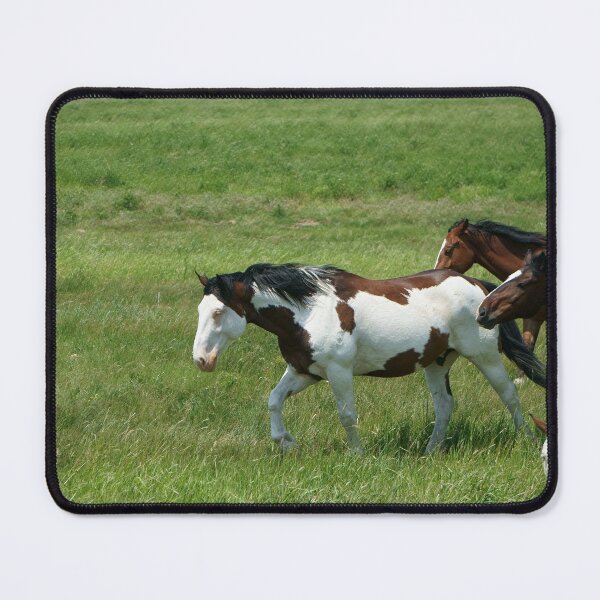 Item preview, Multi-colored Horses On The Move designed and sold by Vivar Photo.