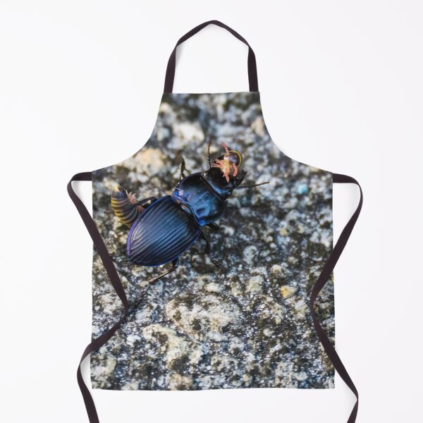 Item preview, Bug Battle designed and sold by TinyDinoDesigns.