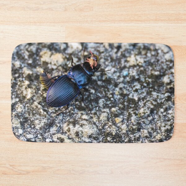 Item preview, Bug Battle designed and sold by TinyDinoDesigns.
