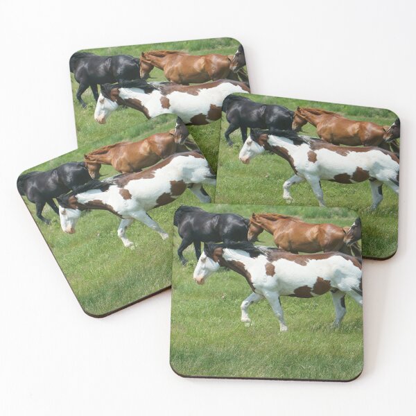 Item preview, A Paint and its Mates on the Move designed and sold by Vivar Photo.