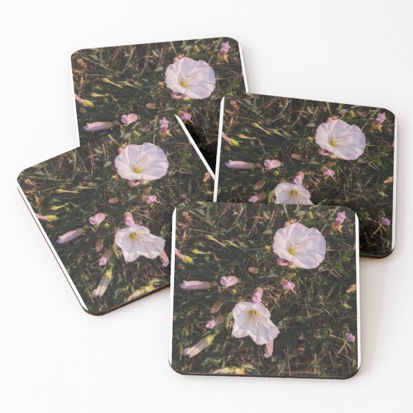 Item preview, Morning Glories in the Sun designed and sold by HoneyedBrie.
