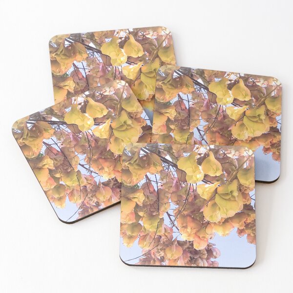 Item preview, Amore, Image 2 - Beautiful Pastel Flowers on a tree branch designed and sold by artsychickphoto.