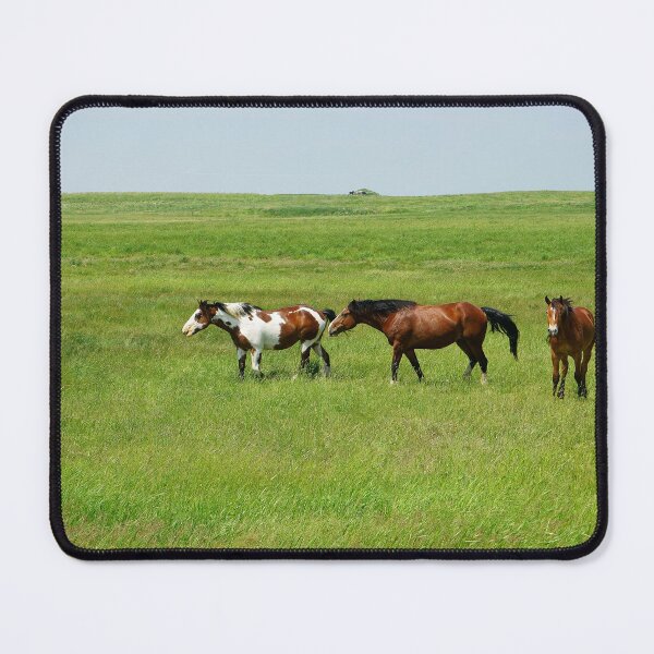 Item preview, Three Horses and More, Gathered on a Green Field designed and sold by Vivar Photo.
