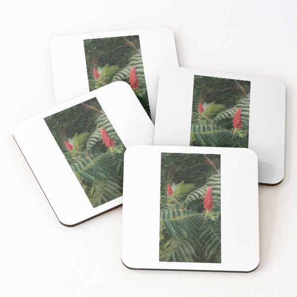 Item preview, Staghorn Sumac along the Path designed and sold by HoneyedBrie.