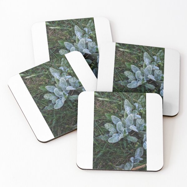 Item preview, Lambs Ear in the Grass designed and sold by HoneyedBrie.
