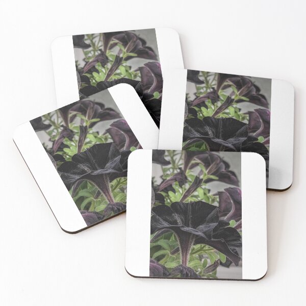 Item preview, Black Velvet Petunias designed and sold by HoneyedBrie.