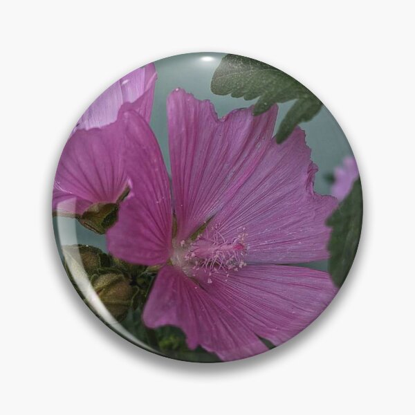 Item preview, Hollyhock Mallow designed and sold by HoneyedBrie.